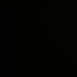 Meet your Posher, Dennis